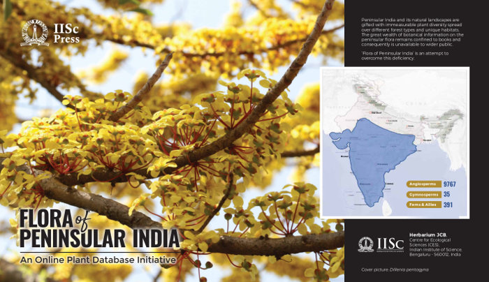 Flora of Peninsular India