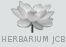 Herbarium JCB